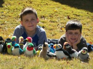 How we got started in Youth Birding